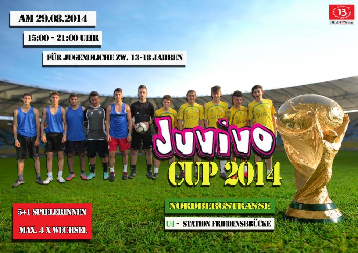 juvivo-cup2014update