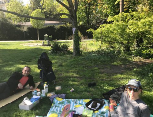 Picknick im Stadtpark