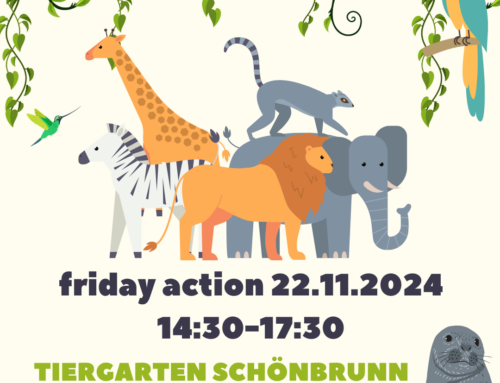 Friday action 22.11.2024 Tiergarten Schönbrunn mit Robbenfütterung